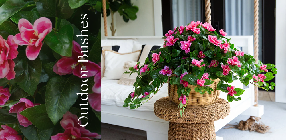 Outdoor Bushes
