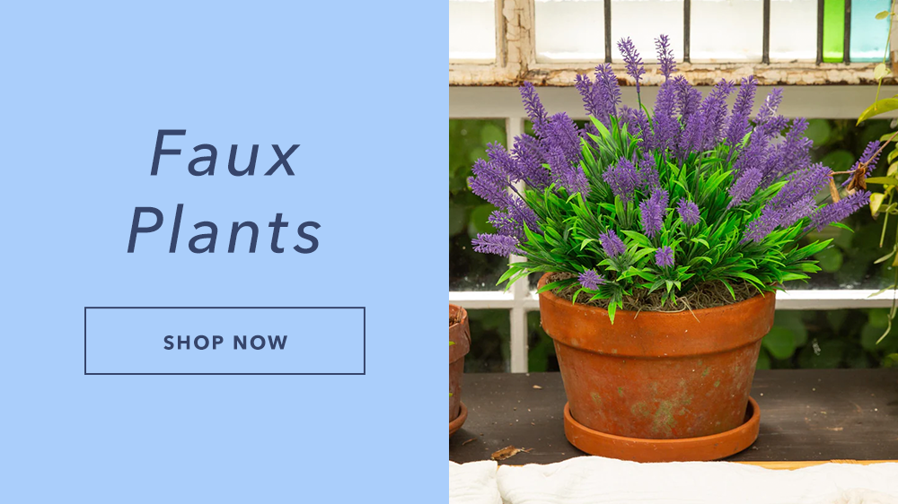 Faux Plants