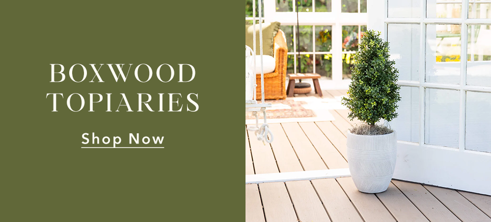 Boxwood Topiaries