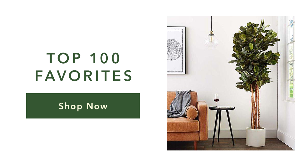  Top 100