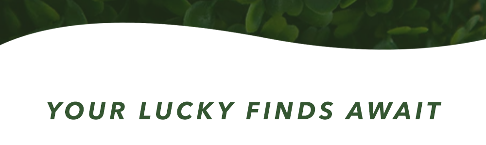 Your Lucky Finds Await