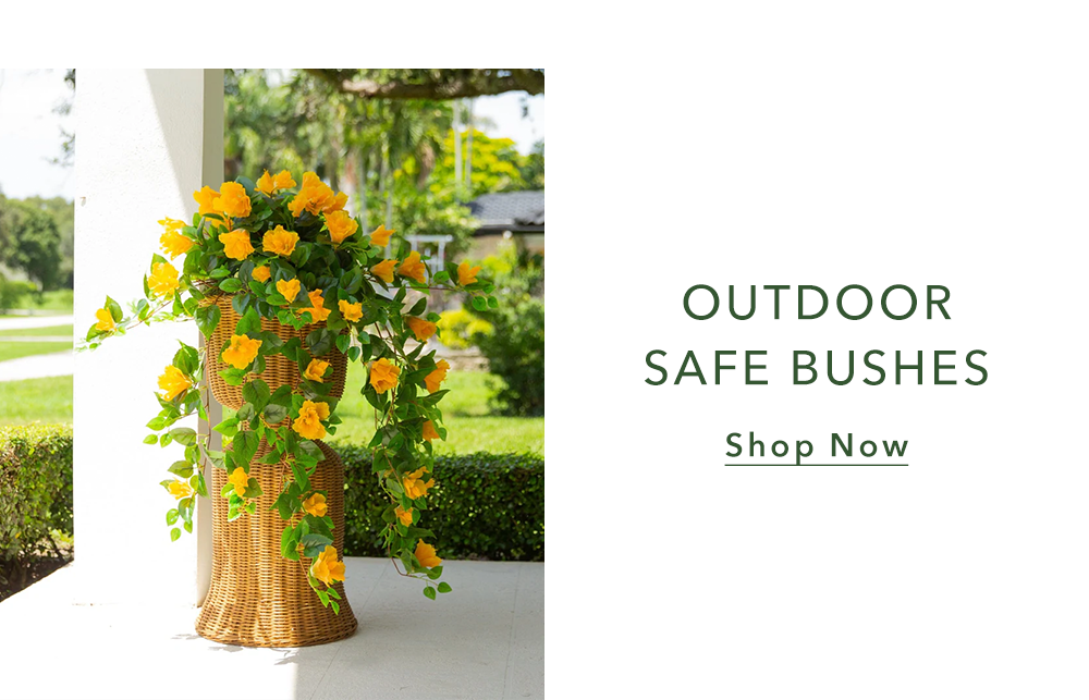 Outdoor Safe Bushes