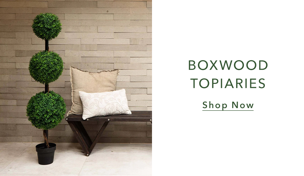 Boxwood Topiaries