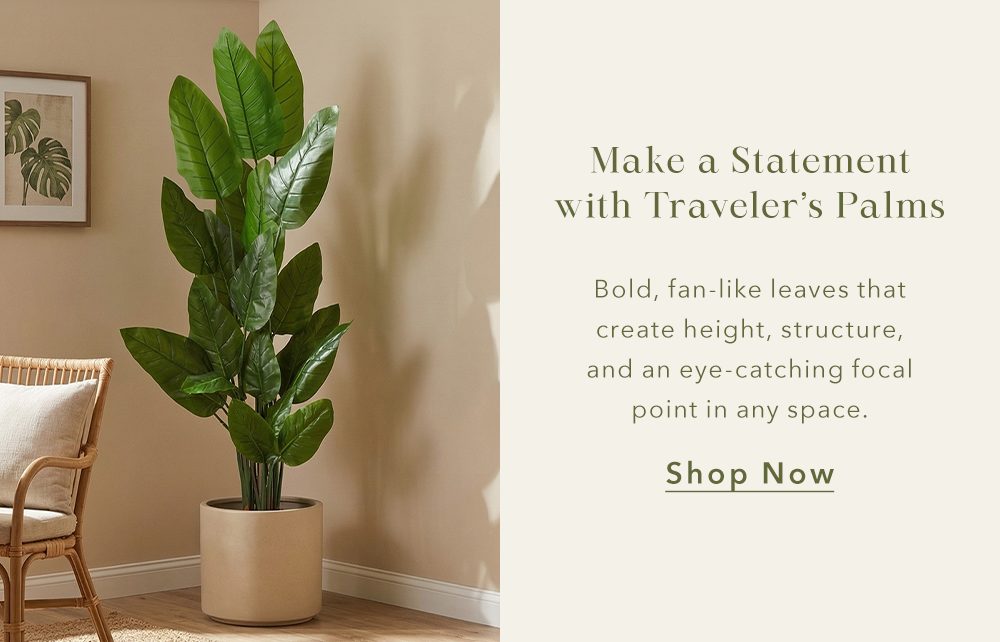 Make a Statement with Traveler’s Palms