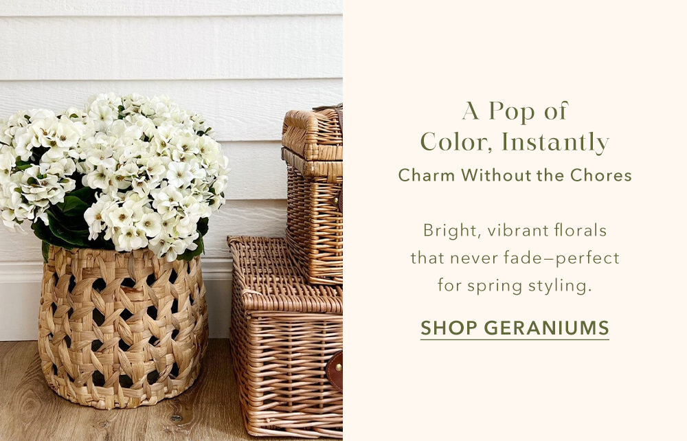 A Pop of Color, Instantly