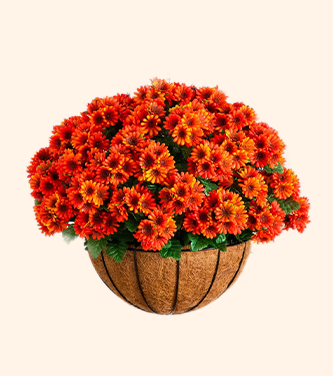 SHOP FLORAL BUSHES