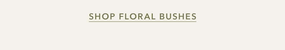 SHOP FLORAL BUSHES