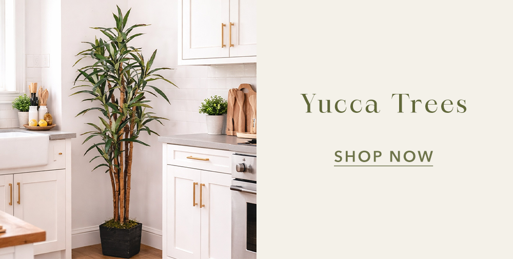 Yucca Trees