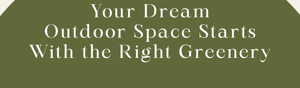 Your dream outdoor space starts with the right greenery Your dream outdoor space starts with the right greenery