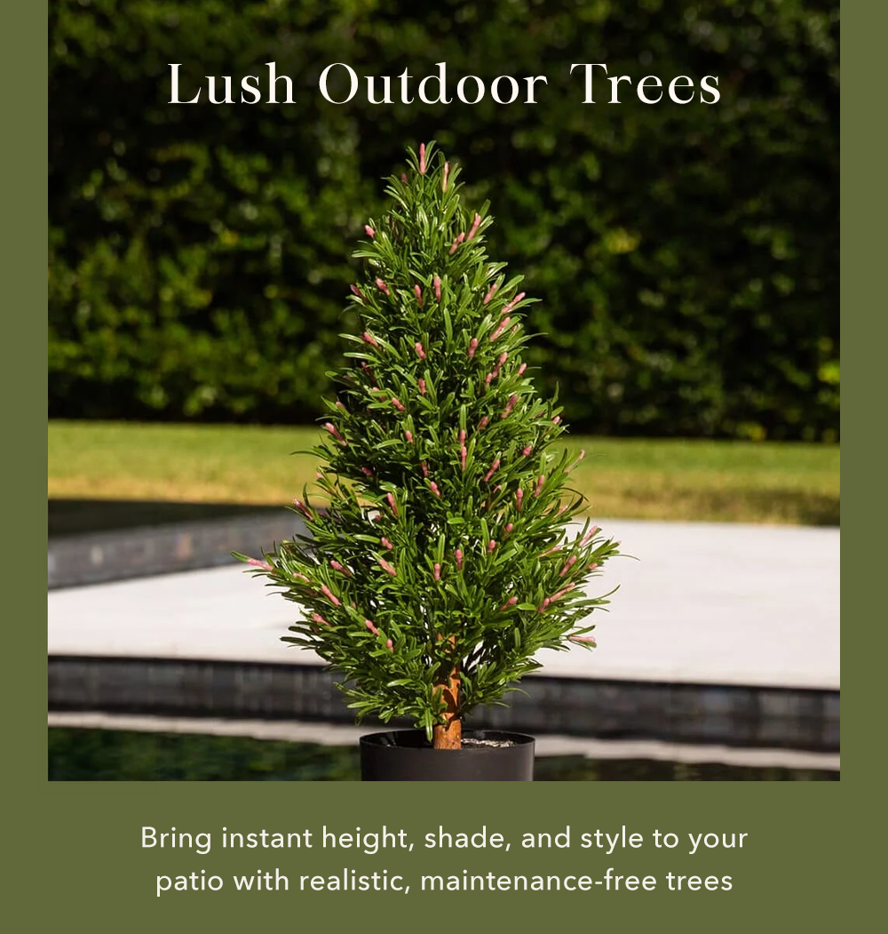 Lush Outdoor Trees Lush Outdoor Trees