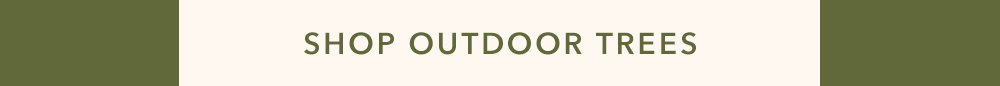 SHOP OUTDOOR TREES SHOP OUTDOOR TREES