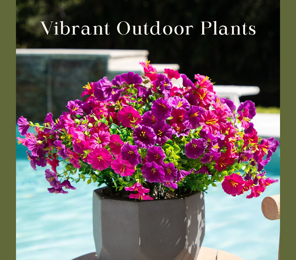 Vibrant Outdoor Vibrant Outdoor