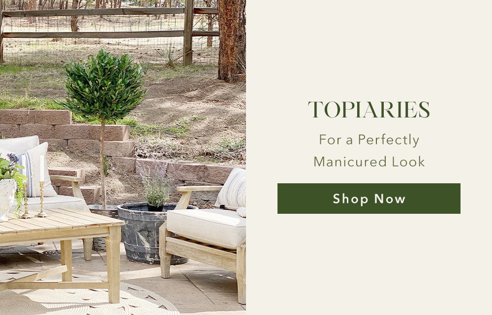 TOPIARIES