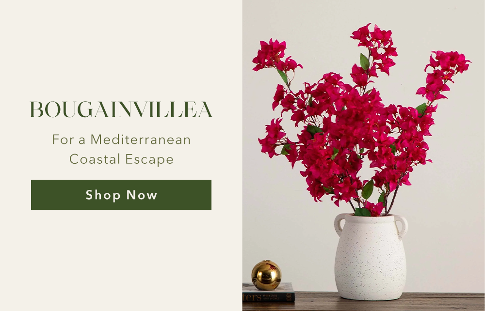 BOUGAINVILLEA