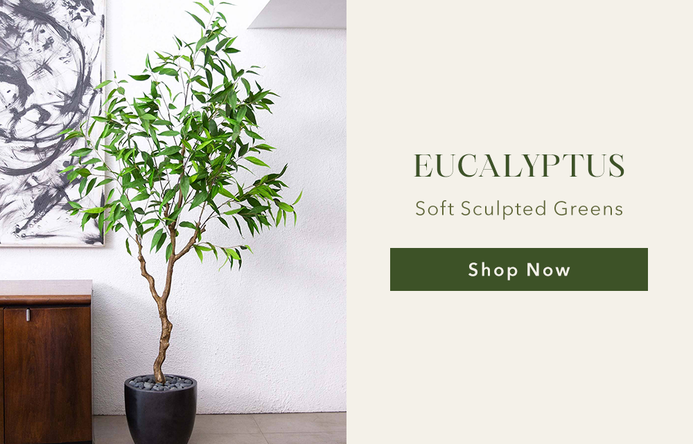 EUCALYPTUS