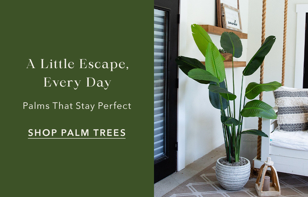 SHOP PALM TREES