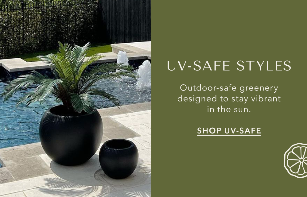 Shop UV-Safe