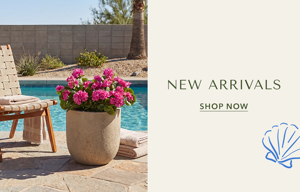 New Arrivals
