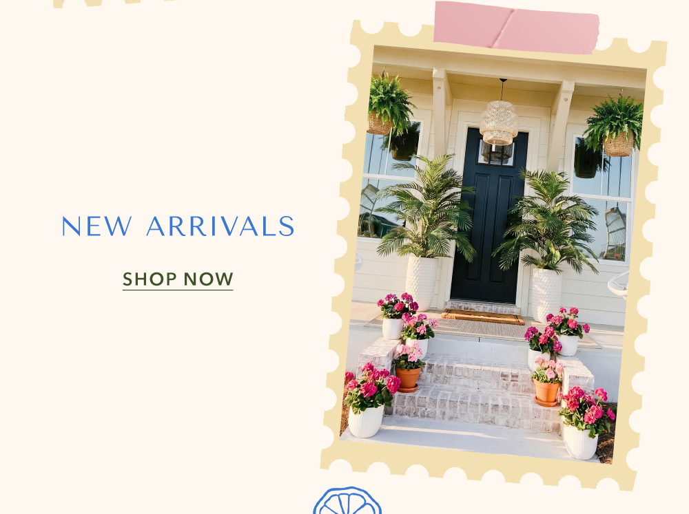 New Arrivals