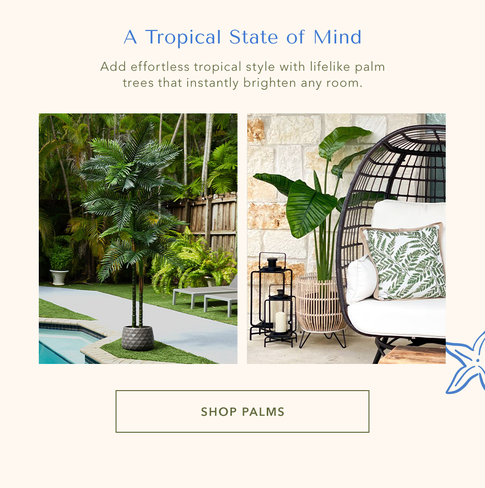 SHOP PALMS