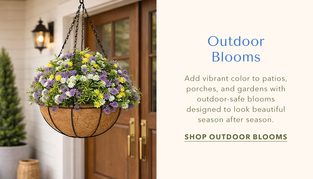 Outdoor Blooms