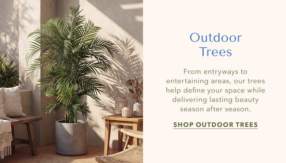 Outdoor Trees