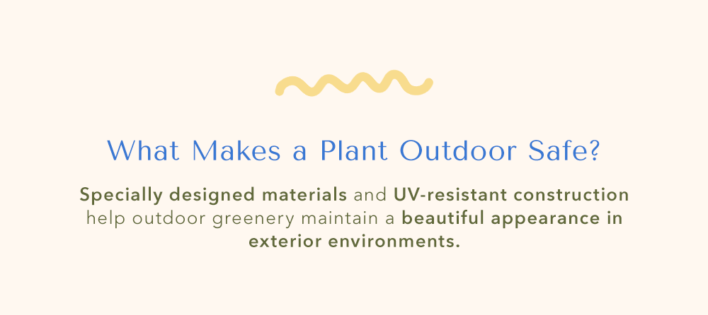 What Makes a Plant Outdoor Safe?