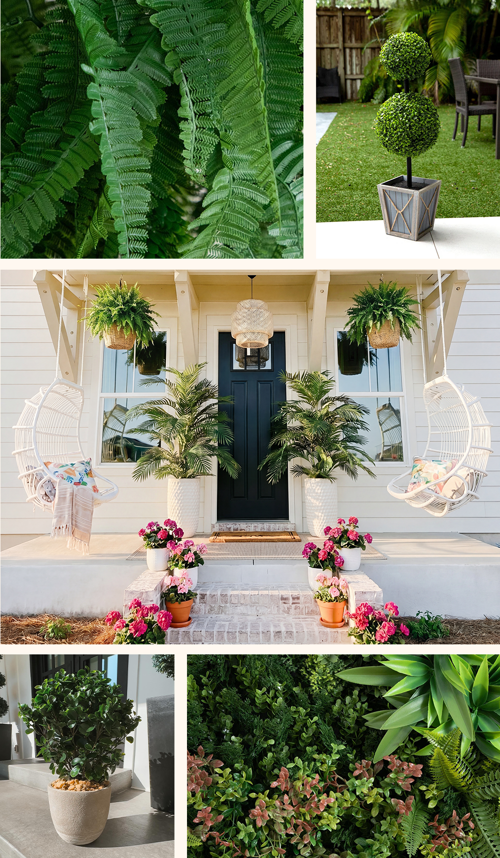 What Makes a Plant Outdoor Safe?