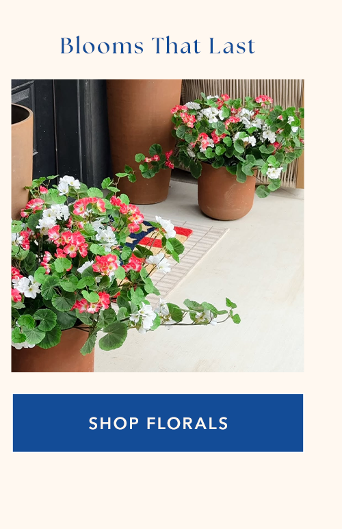 Blooms That Last