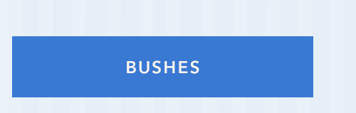 Bushes