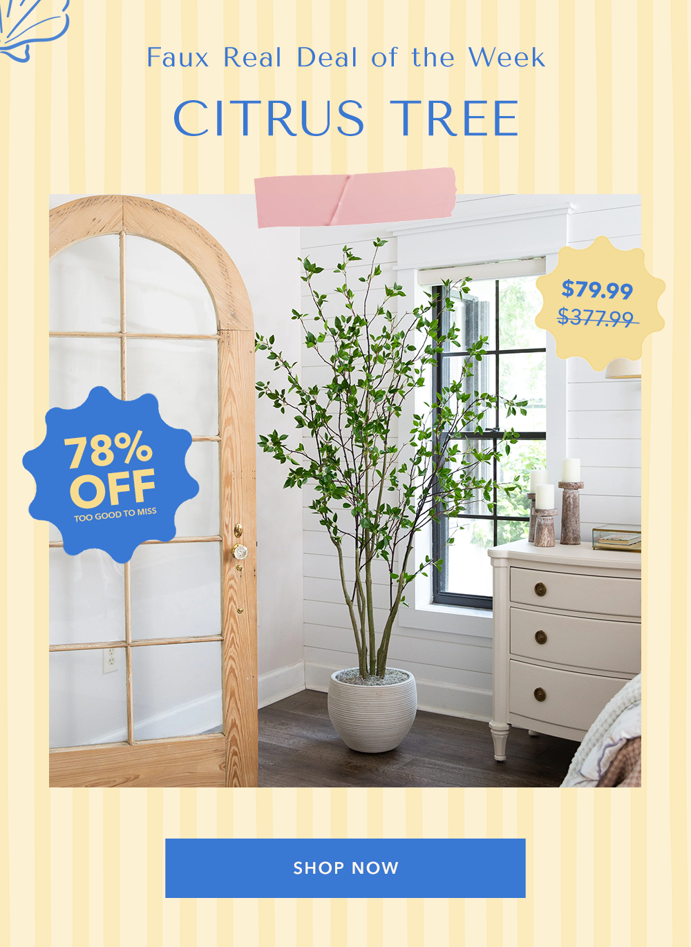 Faux Real Deal of the Week