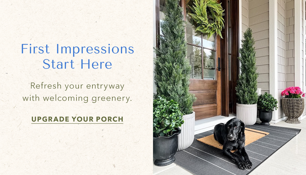 First Impressions Start Here