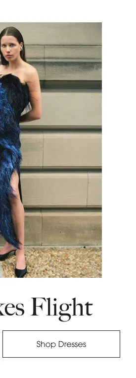 Shop Dresses