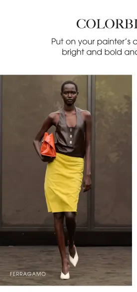 Shop Designer Collections