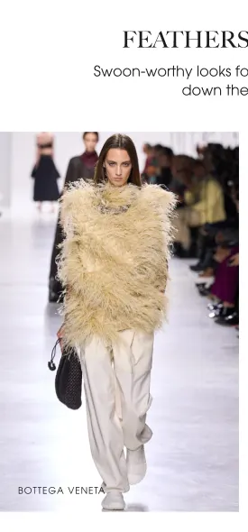 Shop Designer Collections
