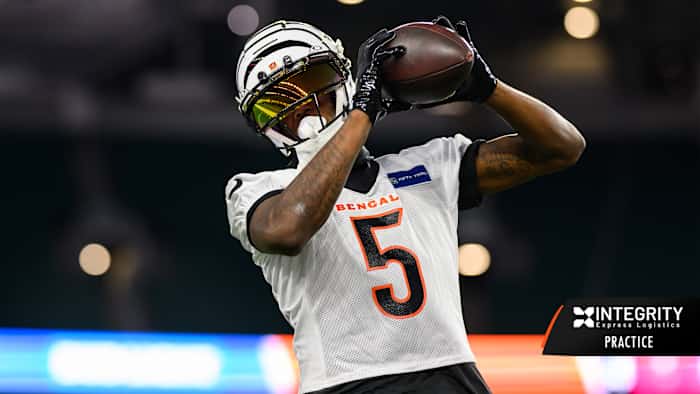 Tee Higgins