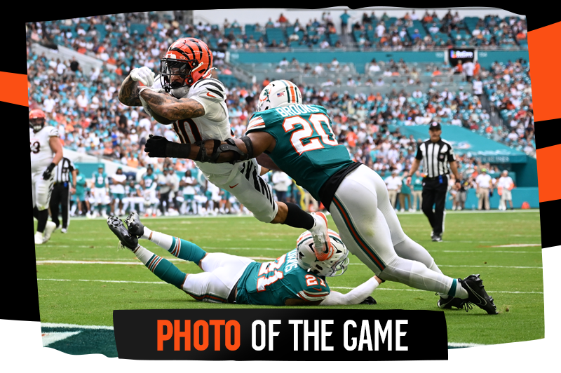 Photo Of The Game