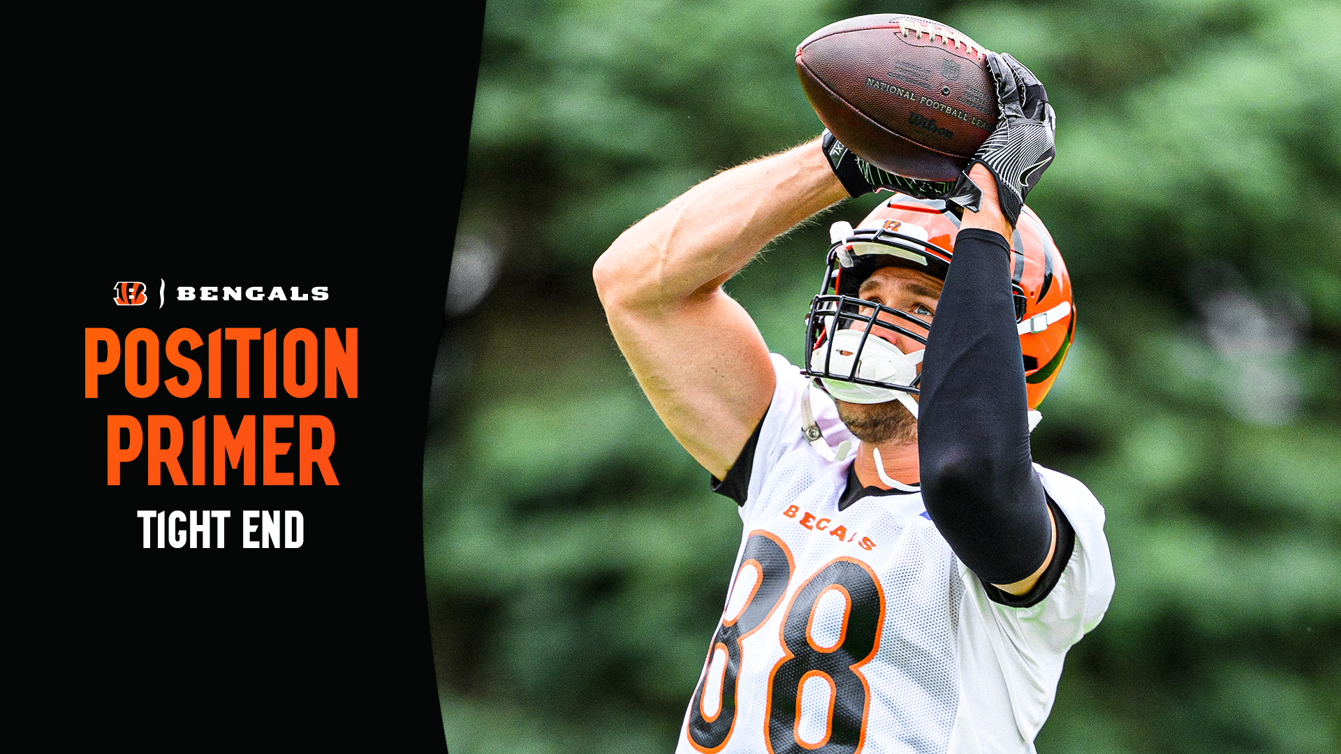 Position Primer - TE