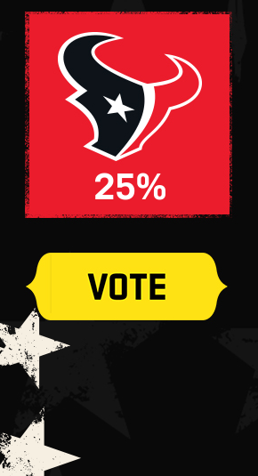 Texans Vote