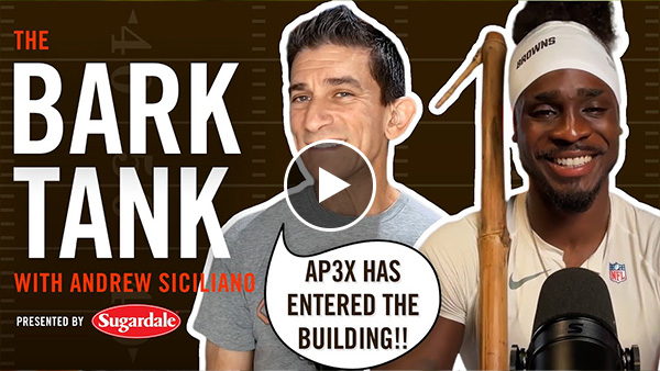 Audio: The Bark Tank