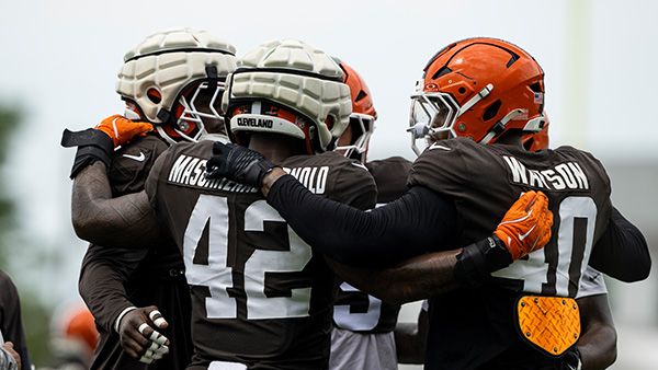 Image: Browns Linebackers