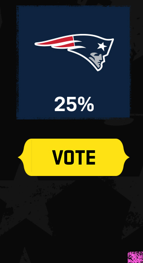 Patriots Vote
