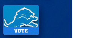 Detroit Lions