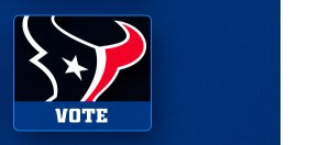 Houston Texans