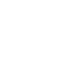 X_WT