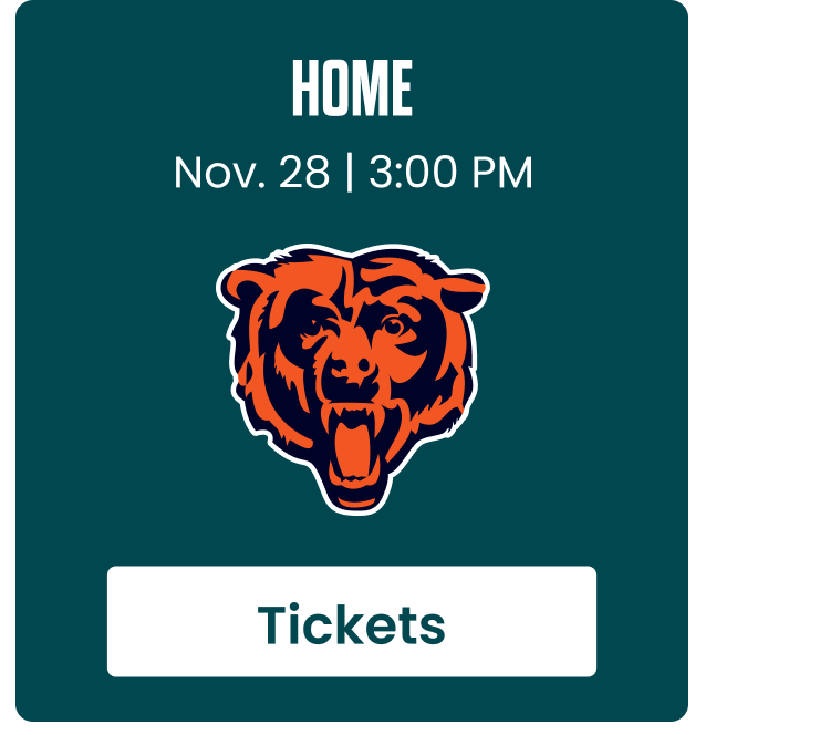 Home. November 28th. 3:00 PM. vs Bears. Tickets