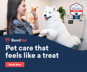 BondVet Sponsor