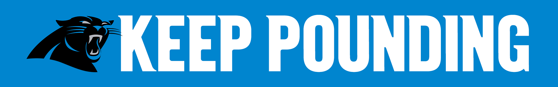 Carolina Panthers