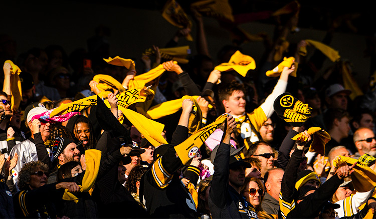 Shop Terrible Towels