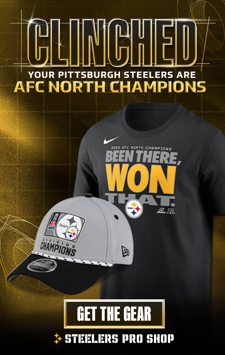 Shop AFC North Champions Merch